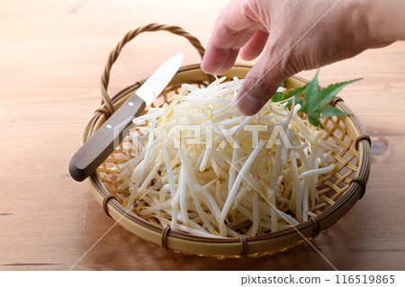 豆芽 116519865