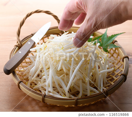 Bean sprouts 116519866