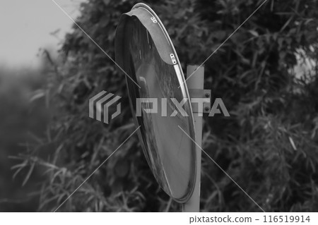Convex mirror (black and white) 116519914