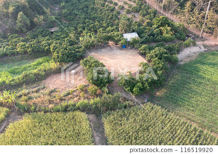 Land and soil backfill in aerial view in in Nan province of Thailand. 116519920