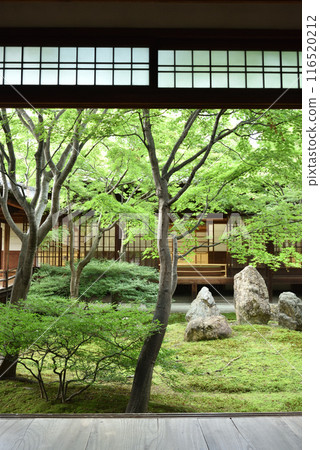 初夏紫苑花園 建仁寺 京都市東山區 116520212