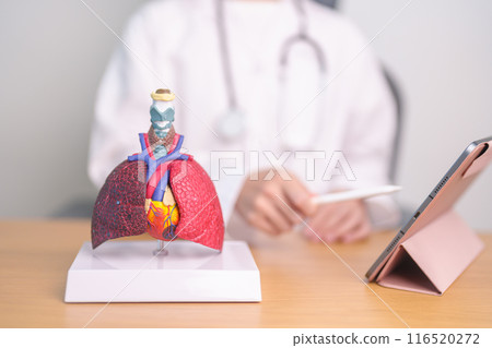 Doctor with Respiratory system anatomy for Diseases. Lung Cancer, Asthma, Chronic Obstructive Pulmonary or COPD, Bronchitis, Emphysema, Cystic Fibrosis, Bronchiectasis, Pneumonia and Pleural Effusion 116520272