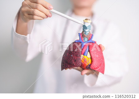 Doctor point Thyroid and Cricoid of Respiratory system anatomy for Diseases. Lung Cancer, Asthma, Chronic Obstructive Pulmonary, Bronchitis, Emphysema, Cystic Fibrosis, Bronchiectasis and Pneumonia Doctor point Thyroid and Cricoid of Respiratory system anatomy for Diseases. Lung Cancer, Asthma, Chronic Obstructive Pulmonary, Bronchitis, Emphysema, Cystic Fibrosis, Bronchiectasis and Pneumonia 116520312