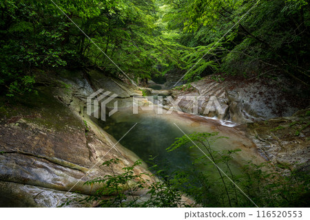 Landscape of fresh green and waterfall with beautiful blue autumn leaves Landscape of fresh green and waterfall with beautiful blue autumn leaves 116520553