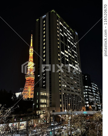 Skyscrapers and Tokyo Tower at night 116520670