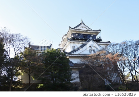 Okazaki Castle stands majestically against the winter sky Okazaki Castle stands majestically against the winter sky 116520829