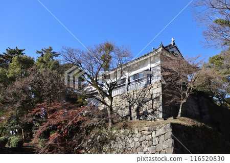 Okazaki Castle stands majestically against the winter sky Okazaki Castle stands majestically against the winter sky 116520830