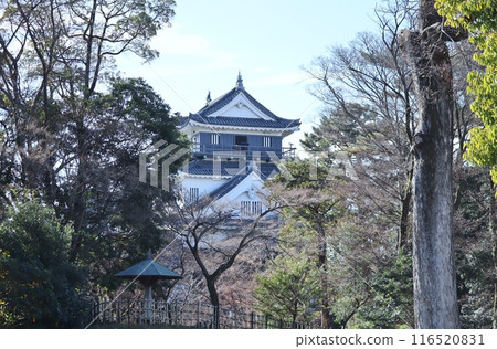 以冬日天空為背景的岡崎城雄偉壯觀 以冬日天空為背景的岡崎城雄偉壯觀 116520831