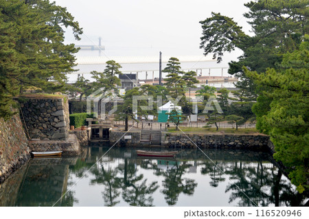 Takamatsu City, Kagawa Prefecture_Takamatsu Castle Moat 2_May 2024 116520946