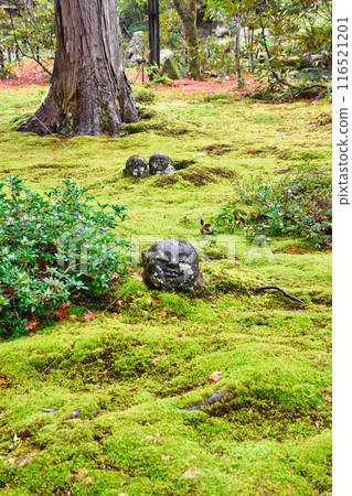 大原三千院蕨部地藏智美地(京都市左京區) 大原三千院蕨部地藏智美地(京都市左京區) 116521201