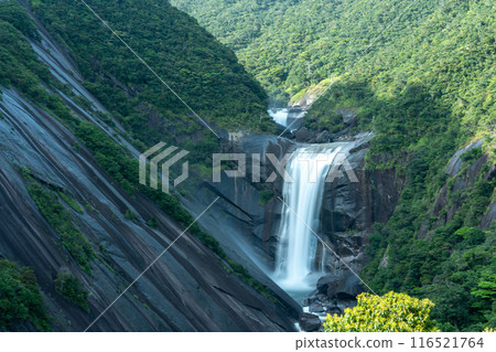 Chiaki waterfall of Yakushima Chiaki waterfall of Yakushima 116521764