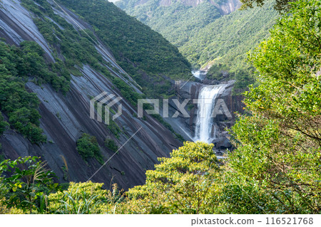 Chiaki waterfall of Yakushima Chiaki waterfall of Yakushima 116521768