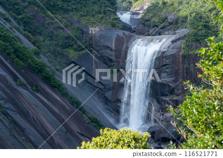 Chiaki waterfall of Yakushima 116521771
