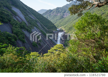 Chiaki waterfall of Yakushima Chiaki waterfall of Yakushima 116521780