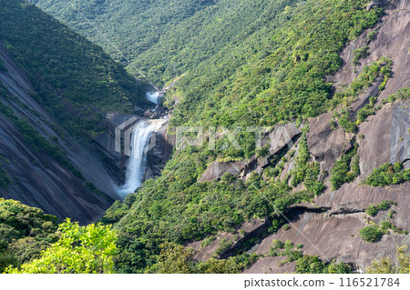 Chiaki waterfall of Yakushima Chiaki waterfall of Yakushima 116521784