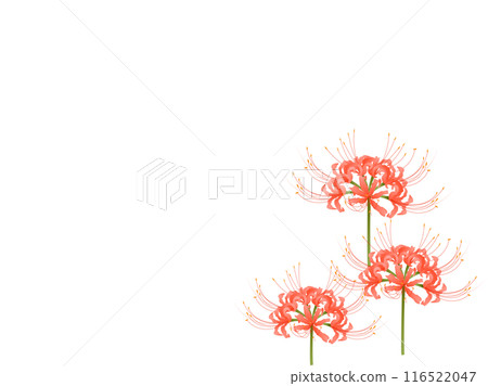 Higantic flower·marlin Higantic flower·marlin 116522047