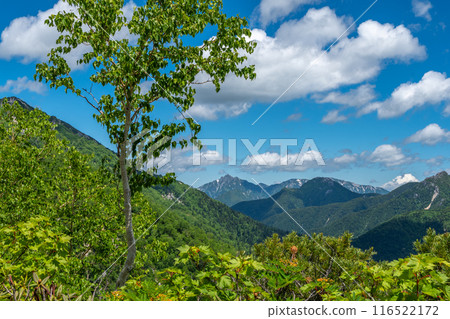 Summer mountain climbing: Mt. Tsurugidake Summer mountain climbing: Mt. Tsurugidake 116522172