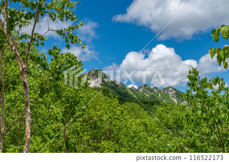 Summer mountain climbing: Mt. Tsurugidake Summer mountain climbing: Mt. Tsurugidake 116522173