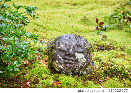 大原三千院蕨部地藏智美地(京都市左京區) 大原三千院蕨部地藏智美地(京都市左京區) 116522375