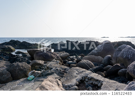 日本鹿兒島屋久島的平內水下溫泉 116522483