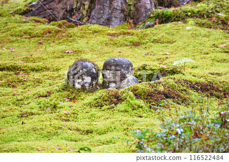 大原三千院蕨部地藏智美地（京都市左京區） 116522484