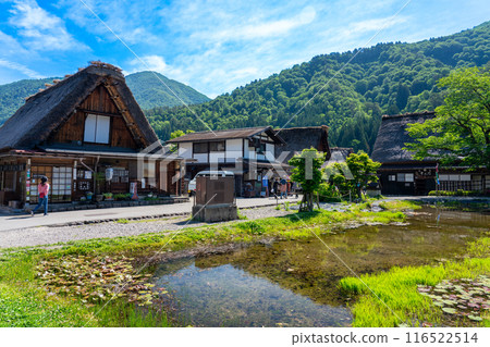 World Heritage Site: Shirakawa-go Gassho-style houses in early summer Shirakawa Village 116522514