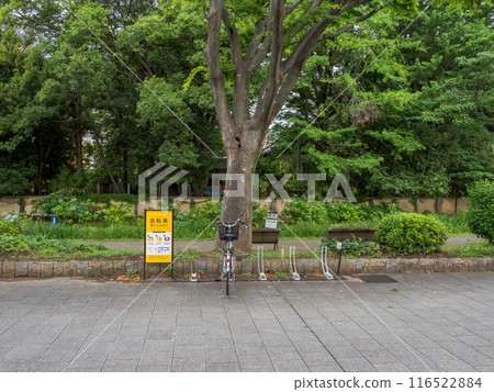 A bicycle sharing station installed in the park A bicycle sharing station installed in the park 116522884