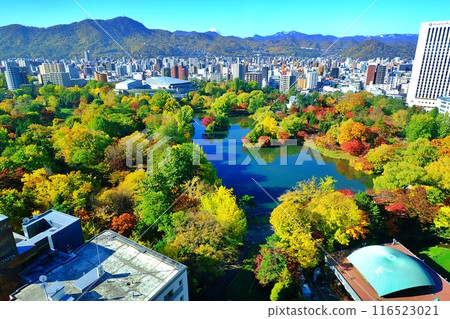中島公園的秋景（北海道札幌市中央區） 116523021