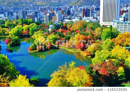 中島公園的秋景(北海道札幌市中央區) 中島公園的秋景(北海道札幌市中央區) 116523030