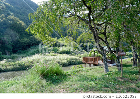 長野縣木曾郡木曾村藪原_水上5號出發站附近的風景_2023年9月 長野縣木曾郡木曾村藪原_水上5號出發站附近的風景_2023年9月 116523052