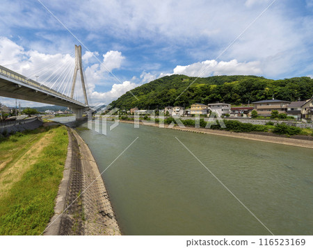 橫跨豬名川和五月山的新豬名川大橋的風景 116523169