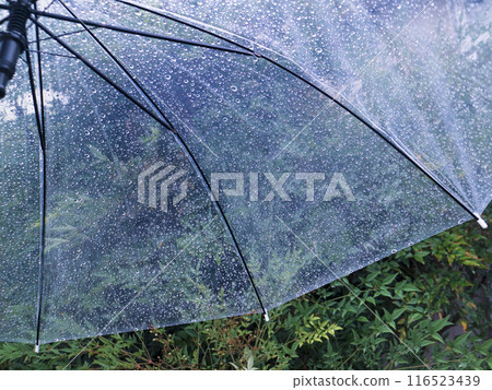 帶水滴的乙烯基雨傘 116523439