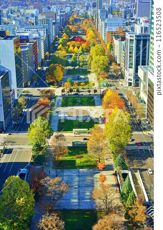 秋天的札幌大通公園 116523508