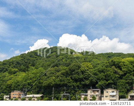 Satsukiyama in summer as seen from the Inagawa River Satsukiyama in summer as seen from the Inagawa River 116523711