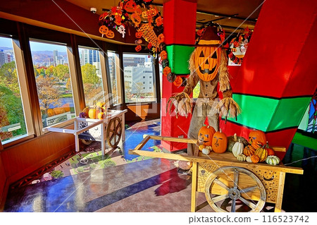 Sapporo TV Tower in Autumn at Nohohon Park 116523742