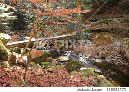 Akame 48 Waterfalls: A famous spot for viewing autumn leaves 116523775