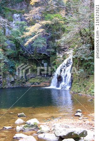 紅葉名勝:赤龜四十八瀑布 紅葉名勝:赤龜四十八瀑布 116523821