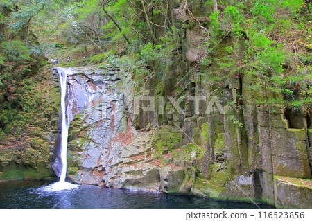 紅葉名勝：赤龜四十八瀑布 116523856