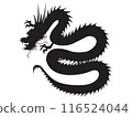 Black Dragon 116524044