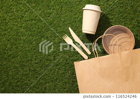 Ecological packaging for food delivery, on the grass. Ecological packaging for food delivery, on the grass. 116524246