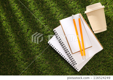 A paper notebook with a pencil on the grass. A paper notebook with a pencil on the grass. 116524249