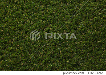 Green, freshly cut grass, background, top view. Green, freshly cut grass, background, top view. 116524264