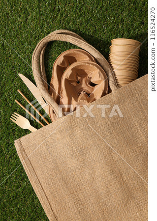 Ecological packaging for food delivery, on the grass. 116524270