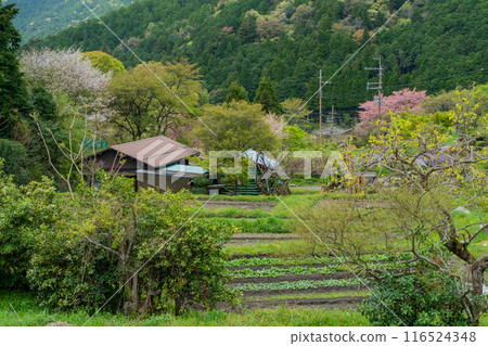 拍攝京都市左京區大原之裡從春天到初夏的宜人風景 116524348