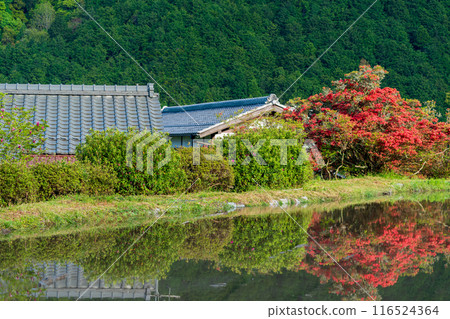 Photographing the delightful scenery of Ohara Village in Sakyo Ward, Kyoto City from spring to early summer 116524364