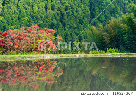 Photographing the delightful scenery of Ohara Village in Sakyo Ward, Kyoto City from spring to early summer 116524367