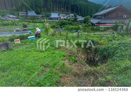 Photographing the delightful scenery of Ohara Village in Sakyo Ward, Kyoto City from spring to early summer 116524368