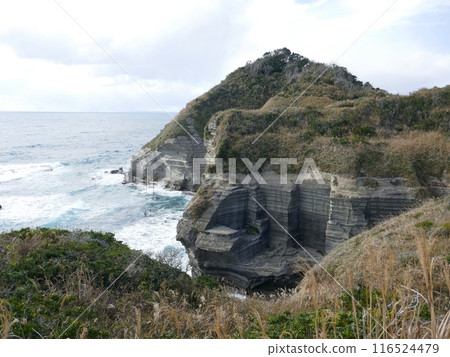 鵜鶘原烏托邦(千葉縣勝浦市) 鵜鶘原烏托邦(千葉縣勝浦市) 116524479