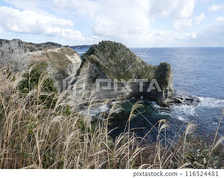 鵜鶘原烏托邦(千葉縣勝浦市) 鵜鶘原烏托邦(千葉縣勝浦市) 116524481