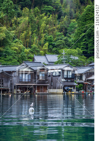 伊根船屋(京都府伊根町若狹灣伊根浦) 伊根船屋(京都府伊根町若狹灣伊根浦) 116524517